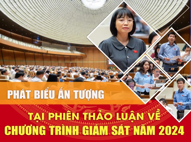 PHÁT BIỂU ẤN TƯỢNG TẠI PHIÊN THẢO LUẬN VỀ CHƯƠNG TRÌNH GIÁM SÁT NĂM 2024